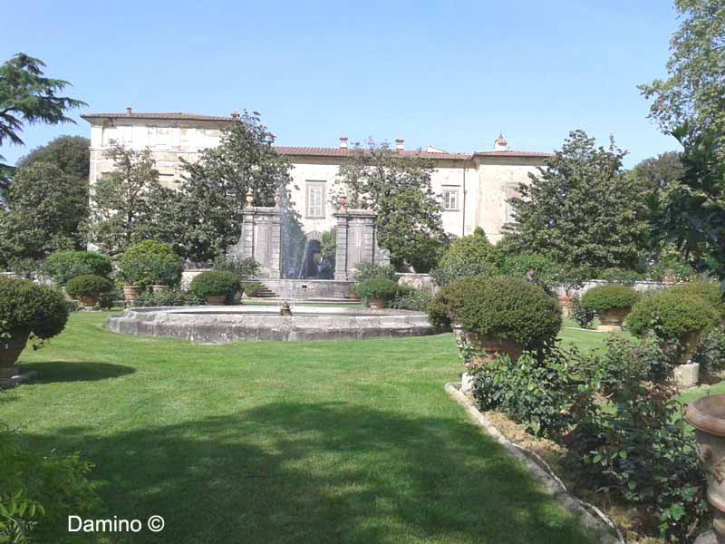 VILLA LA MAGIA: LIMONAIA 2' IMMAGINE